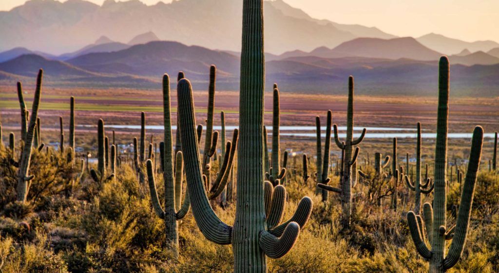 Visit Meteor Crater on your way to Saguaro National Park