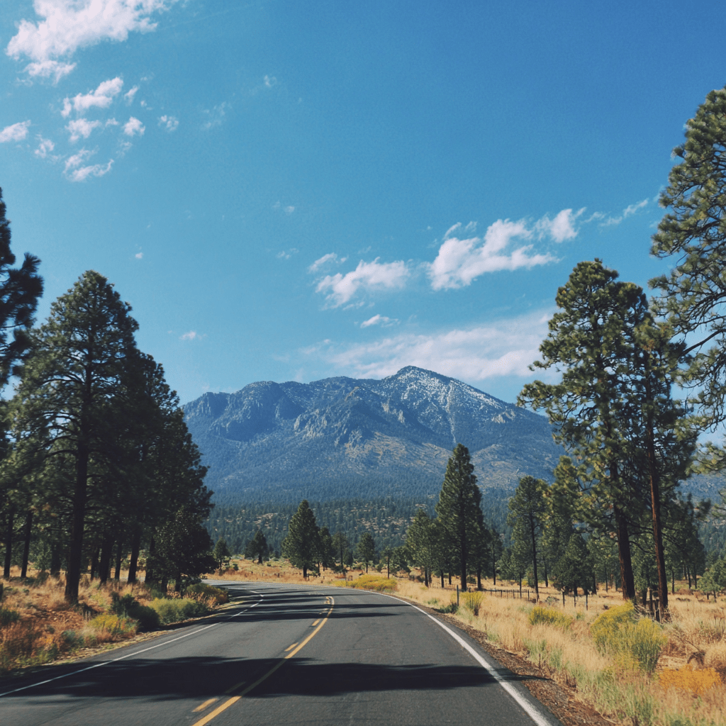 Road Trip to Flagstaff