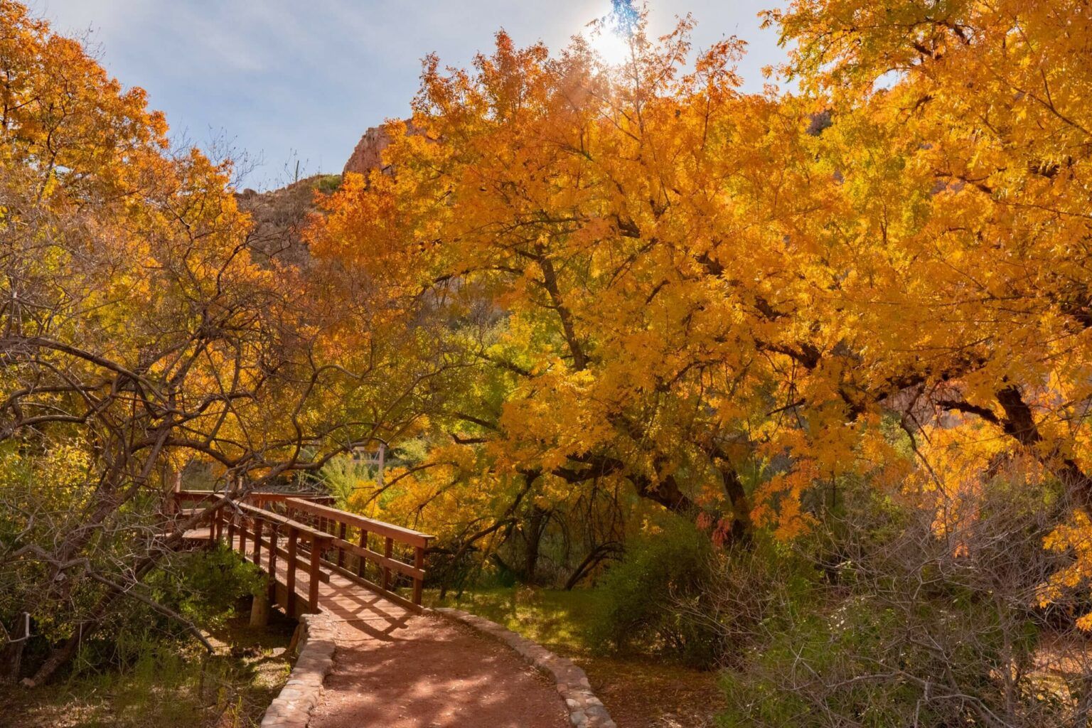 Best Time to Visit Arizona | A Month-by-Month Travel Guide