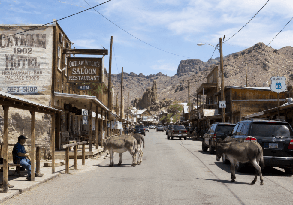 A Complete Guide to Oatman Arizona