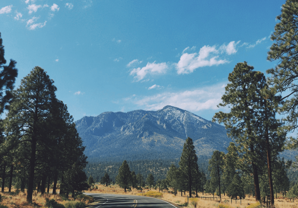 Road Trip to Flagstaff